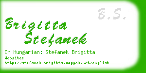 brigitta stefanek business card